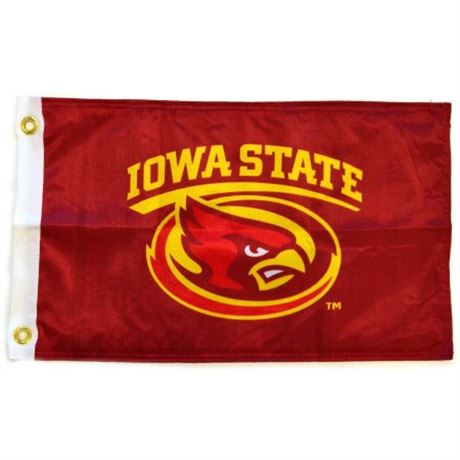 Flagpole to Go 14" X 15" Iowa State Golf Cart Flag