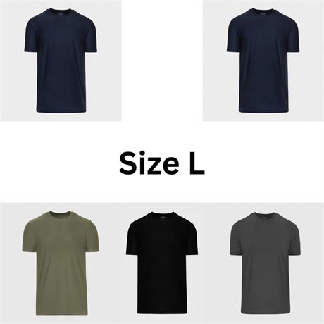 Size L, True Classic Active Crew Neck T-Shirt