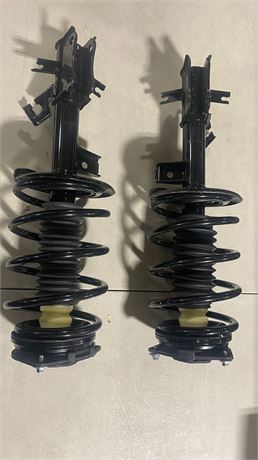172379 & 172378 Suspension Strut and Coil Spring Assembly