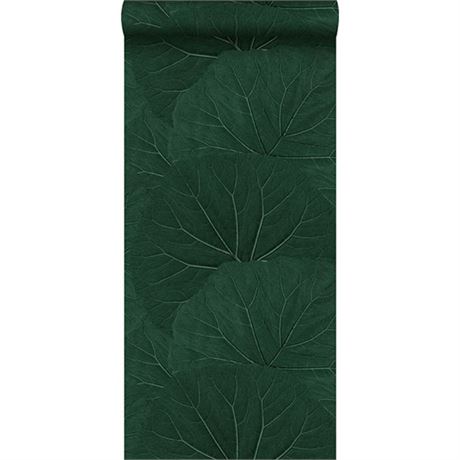 Evergreen Large Leaves Wallpaper