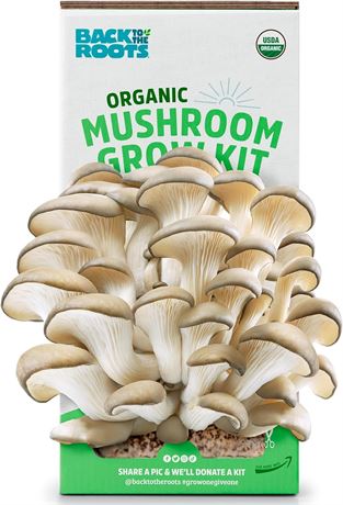Back to the Roots Organic Pearl Oyster Mushroom Mini Grow Kit for Indoor Gardeni