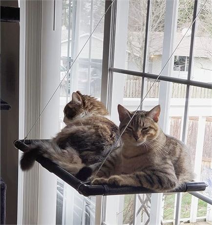 Dracarys Cat Hammock Window Bed Cat Window Perch Sunny Seat, for Kitty Resting P