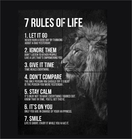 7 Rules Of Life Motivation - displate