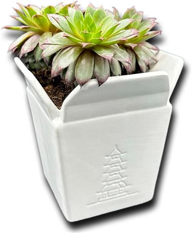 HOTZ Succulent Pot, Ceramic Flower Planter Pot - Unique Decorative Home/Kitchen/
