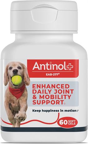 60 Soft Gels - Plus, Mobility, Hip, and Joint Supplement for Dogs, Green-Lipped