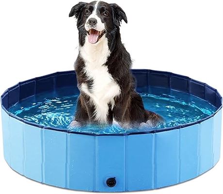 Collapsible Hard Plastic Dog Swimming Pool