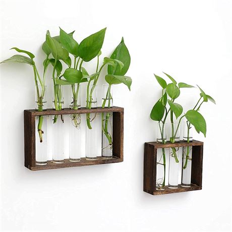 Wall Hanging Glass Planters