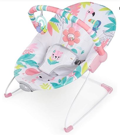 Bright Starts Baby Bouncer Soothing Vibrations Infant Seat