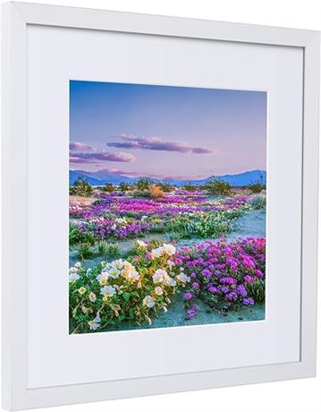 NESCL 14x14 Square Frame Display Picture 10x10 or 5x7 with Mat or 14x14 without
