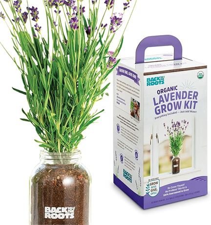 Back to the Roots Lavender Organic Windowsill Planter Kit - Grows Year Round, In