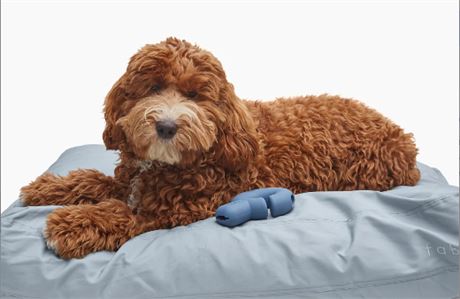 Fable Pets Memory Foam Cat & Dog Bed, Mineral Grey, Medium