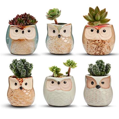 Set of 6, 2.5 Inch - T4U Cute Owl Ceramic Succulent Planter Pots Flowing Glazed
