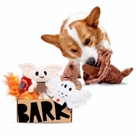 BarkBox Dog Toys Box
