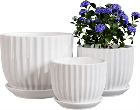 Set of 3 Ceramic Plant Pots,Flower Pot Indoor with Saucers