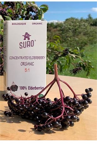 Organic elderberry concentrate 5:1, 118 ml