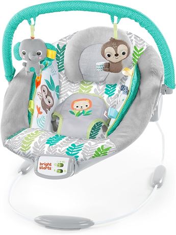 Bright Starts Comfy Baby Bouncer Soothing Vibrations