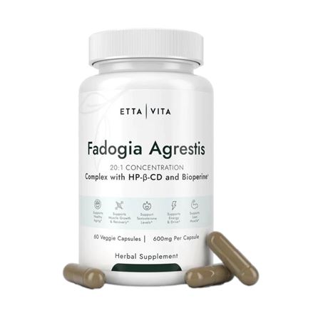 60 caps - Fadogia Agrestis For Testosterone Optimization