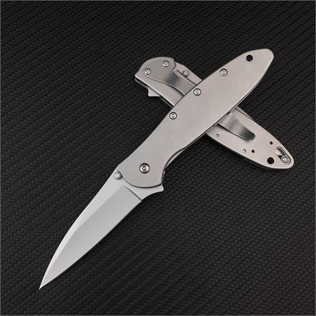 Everyday Carry Leek Pocket Knife, 2.8 inch 5Cr15 Mov Blade and Stainless Steel H