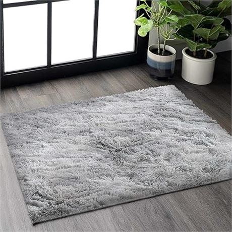 2.6x5ft (80x150cm) - Tenekee Rugs for Living Room Fluffy Area Rugs for Bedroom S