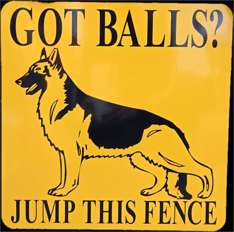 12"x12"- Metal Sign Iron Sign Warning Got Balls? Jump This Fence, Warning Sign S
