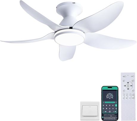 SIMILAR, Kviflon Ceiling Fans with Lights and Remote/APP Control, 30 inch